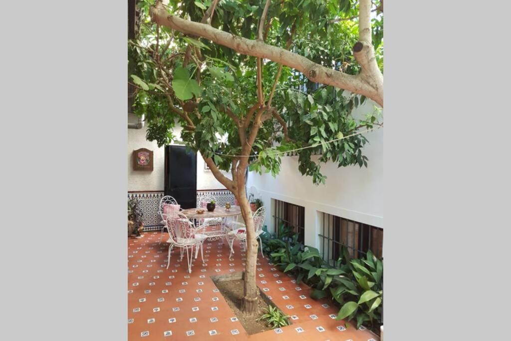 Casa con jardín GRANADA, fácil aparcamiento calle Exterior foto